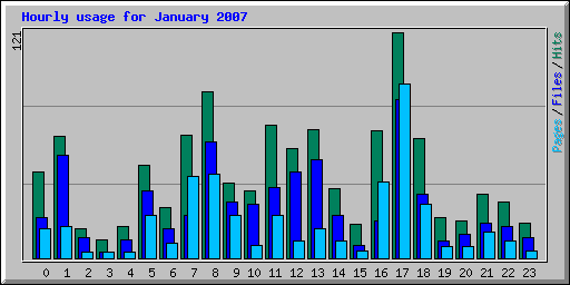 Hourly usage for January 2007