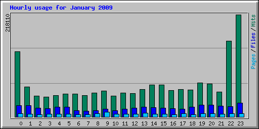 Hourly usage for January 2009
