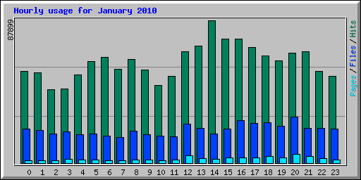Hourly usage for January 2010