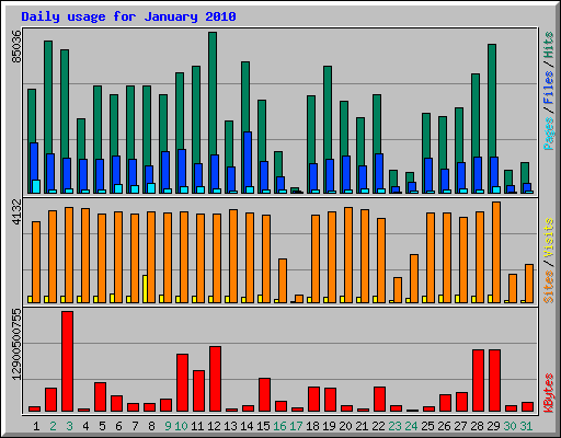 Daily usage for January 2010