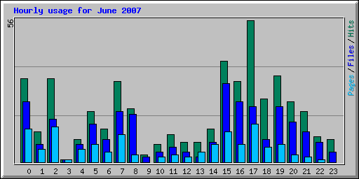 Hourly usage for June 2007