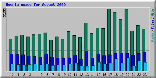 Hourly usage for August 2009